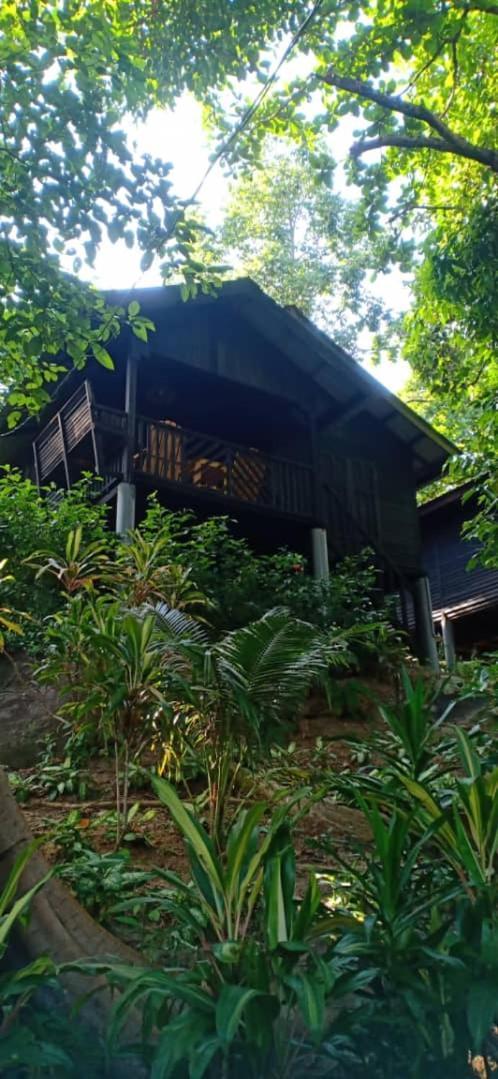 Melina Beach Resort Kampung Genting Eksteriør billede